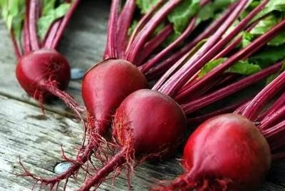 最有營(yíng)養(yǎng)的十種食物,釋迦果上榜,第五被稱(chēng)為天然抗氧化劑