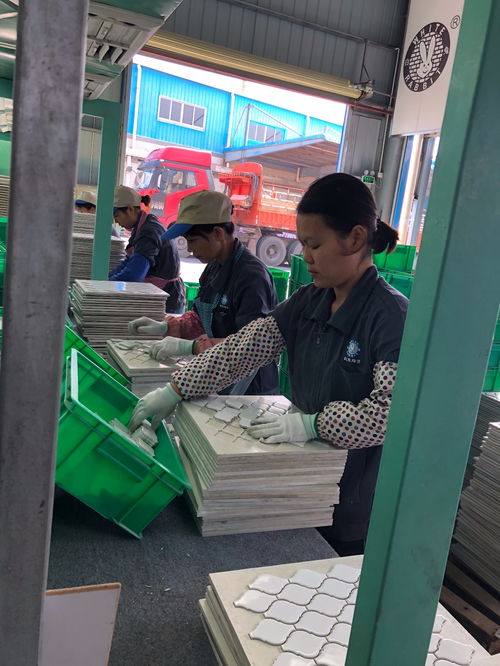 科技引領創新,綠色健康發展,以匠心精神深耕產品